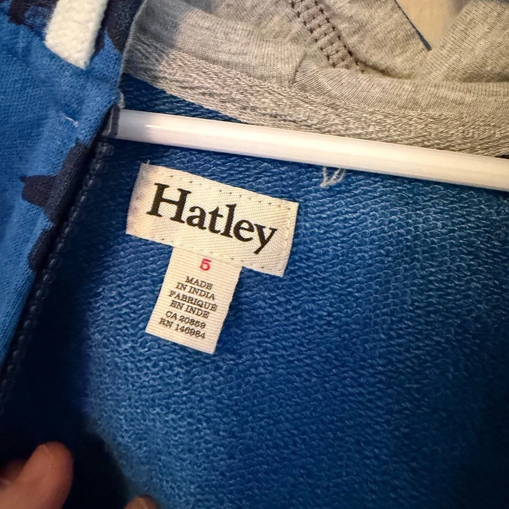 Hatley Blue Dinosaur Kids Hoodie